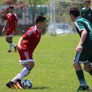 Meet your Posher, Donald